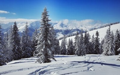 Wintersport in SkiWelt Wilder Kaiser-Brixental